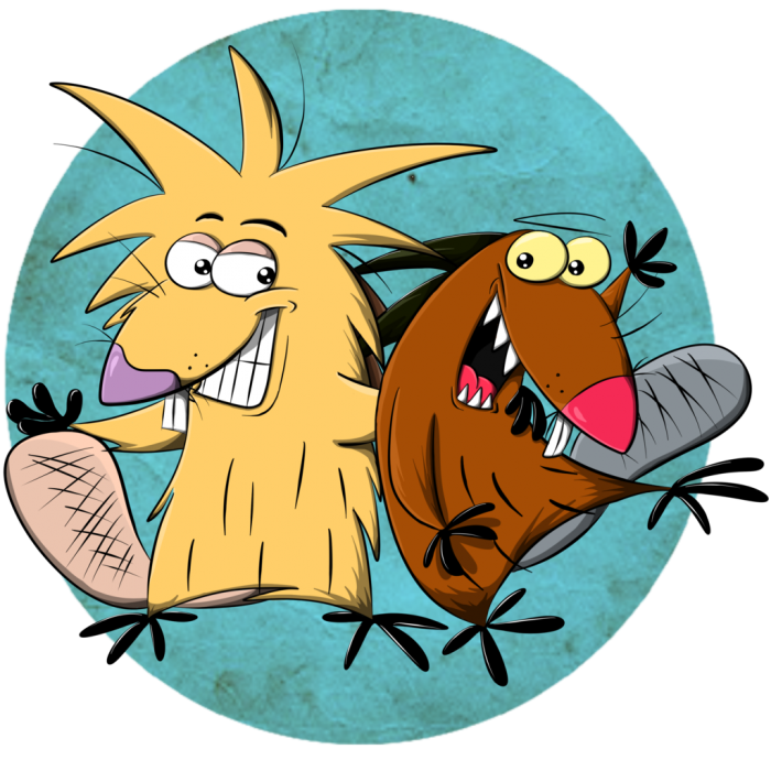 источник фото: яндекс картинки 