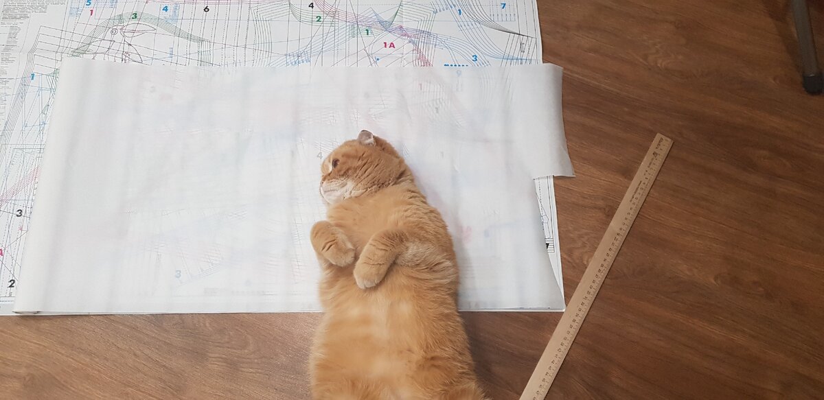 Мой пушистый помощник в шитье! 