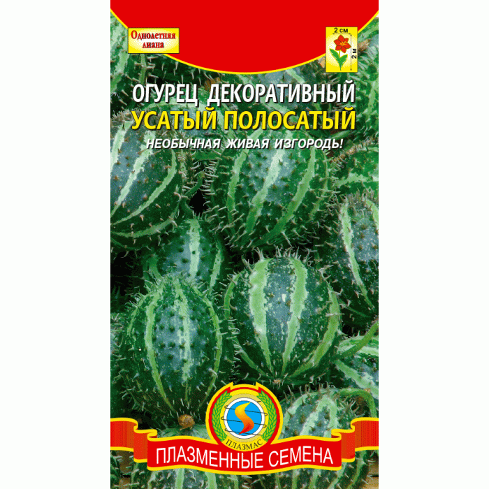 Огурец Усатый полосатый