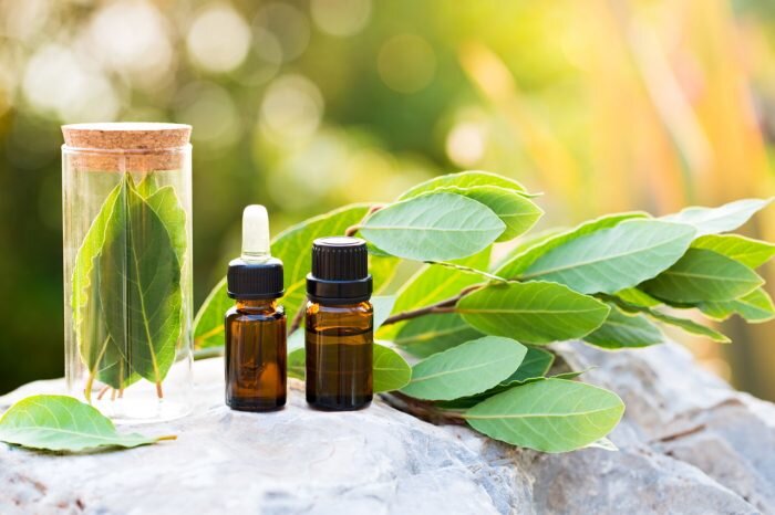 Настойку лаврового листа принимают внутрь и используют наружно