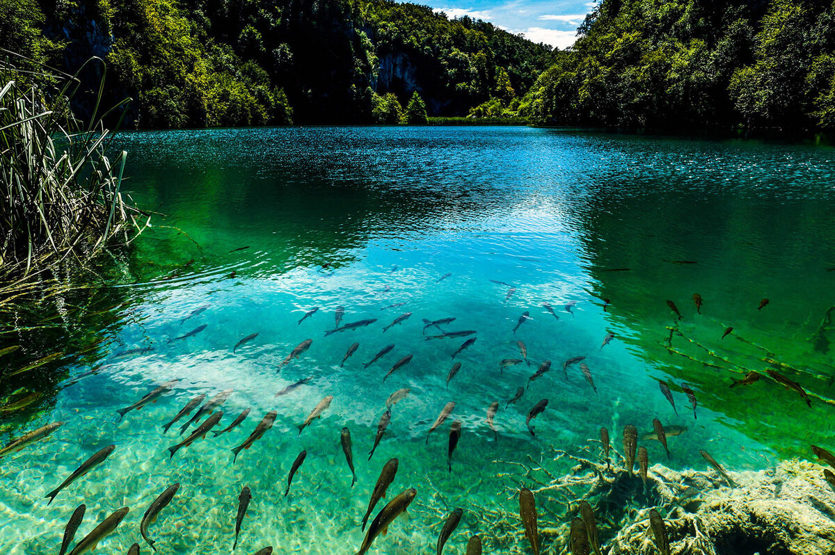 Национальный парк "Плитвицкие озера". Хорватия.