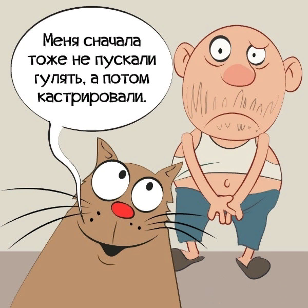 картинка из интернета.