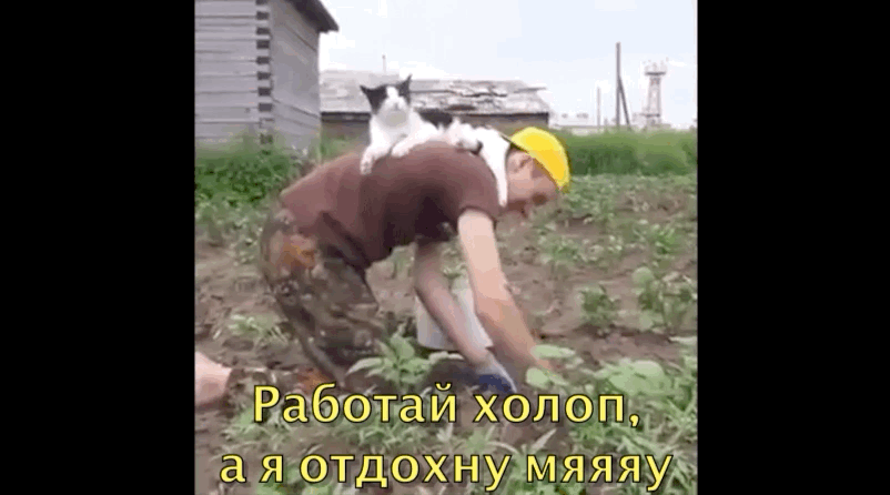 Цари отдыхают, рабы работают...