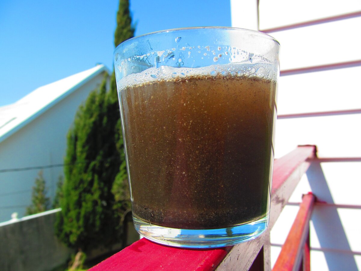 "Чай" из черного тмина для активации всех защитных функций организма