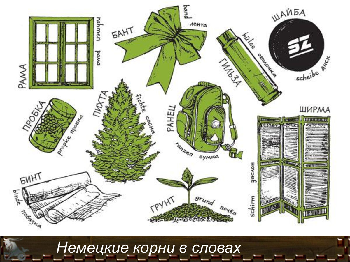 Заимствованные слова картинки для презентации