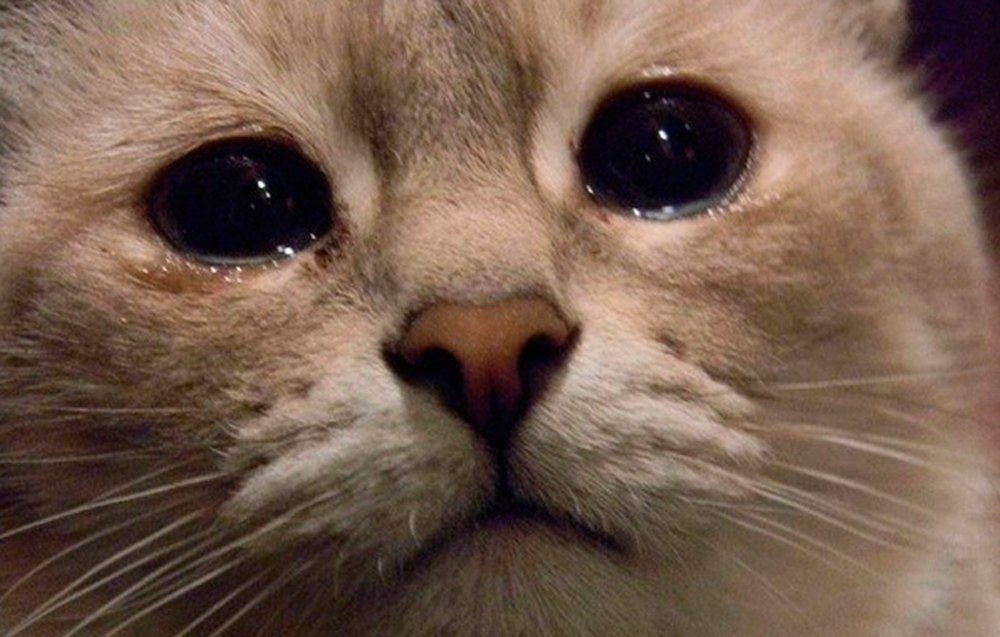 когда читаешь новости 