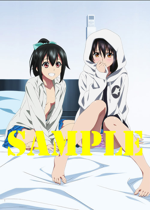 Обложка 4 ova сезона