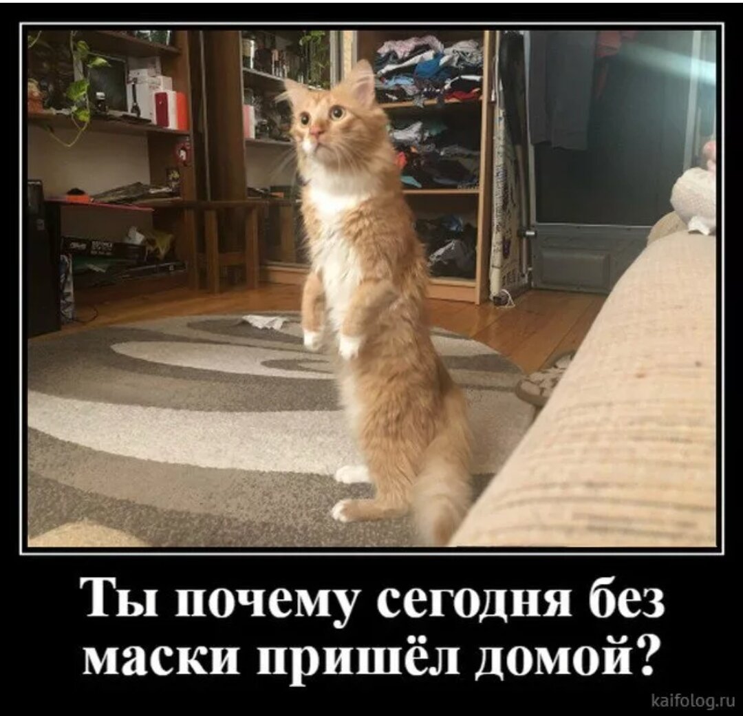 С юмором