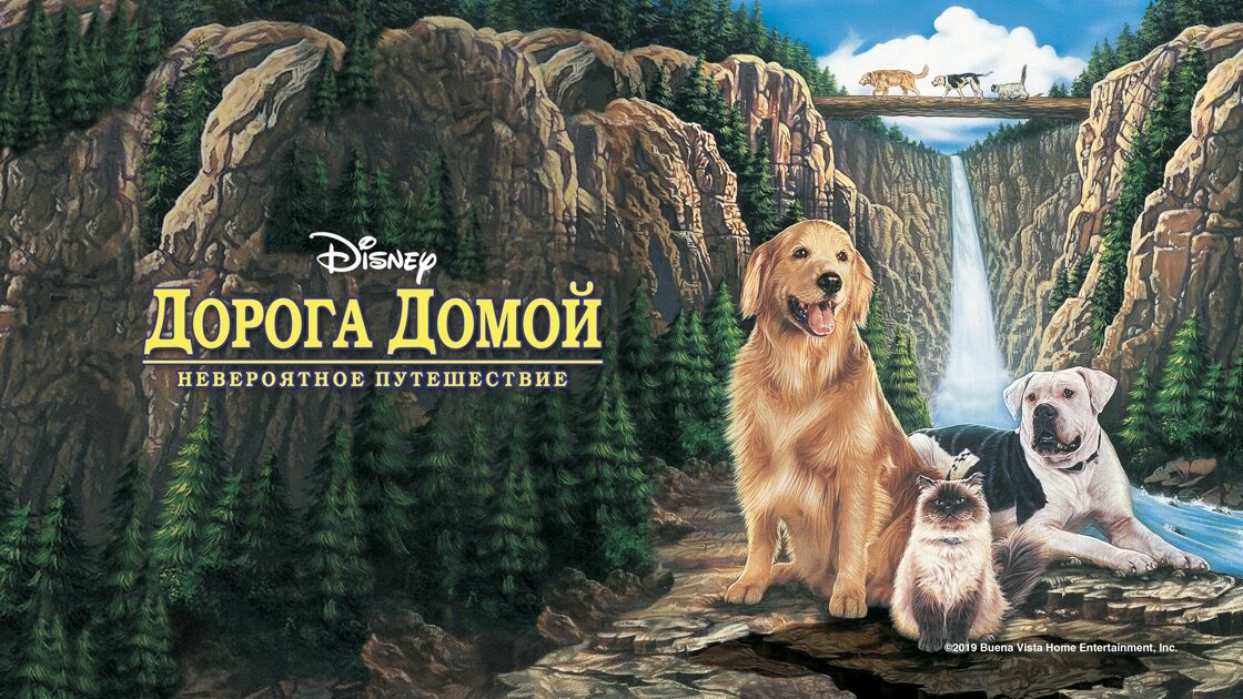 Режиссер: Дуэйн Данэм. США. 1993.