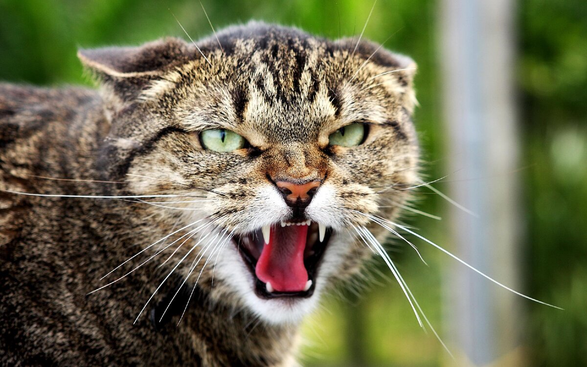 Источник:Яндекс картинки