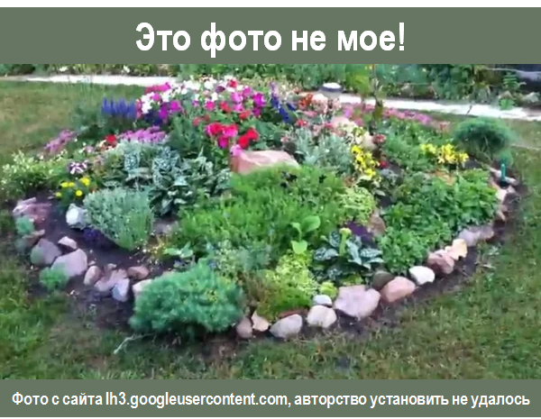 15 оригинальных идей, как обустроить альпийскую горку на даче (фото) Landscaping