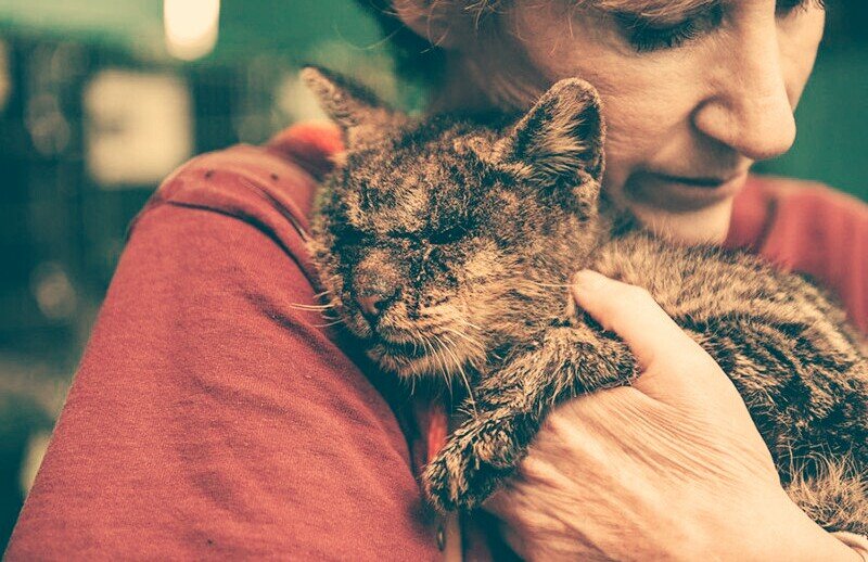 фото из инета