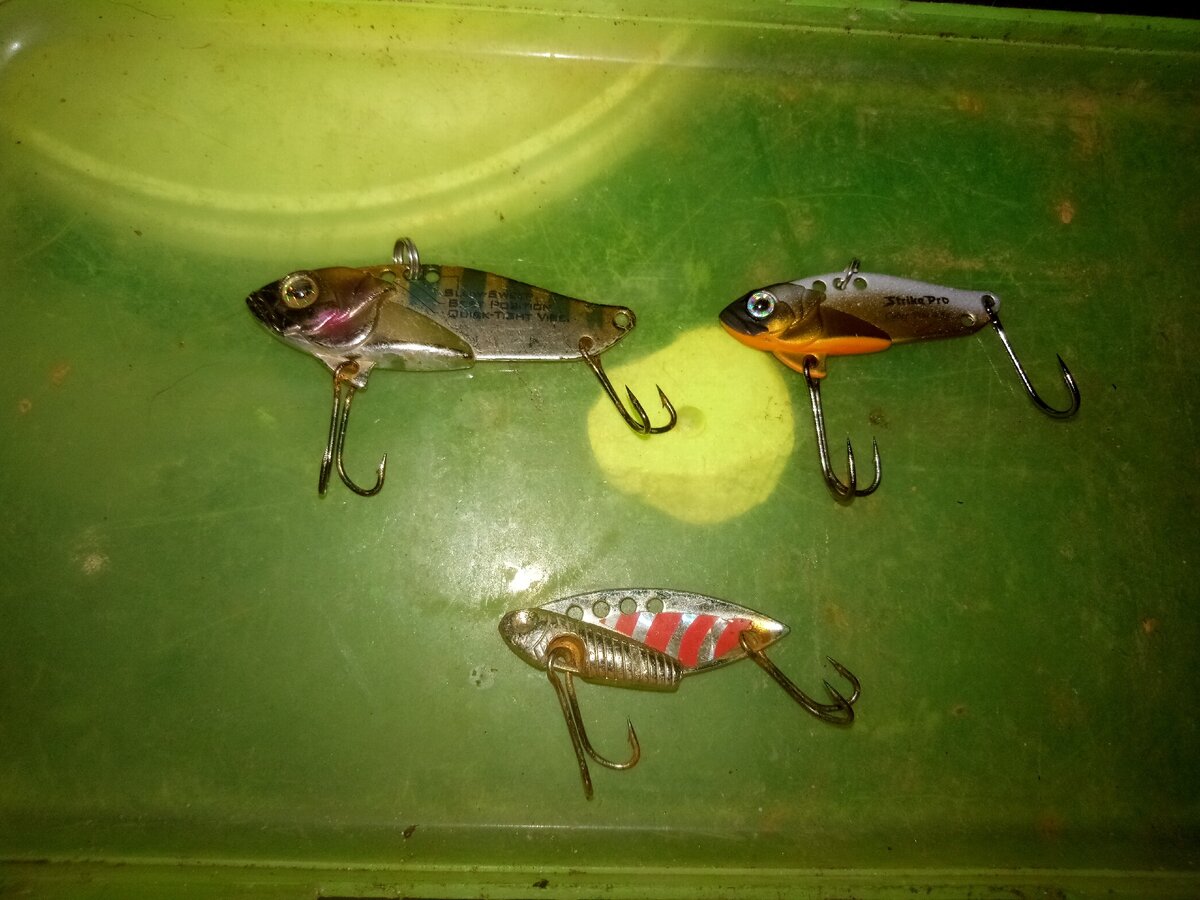 Мой"арсенал" цикад