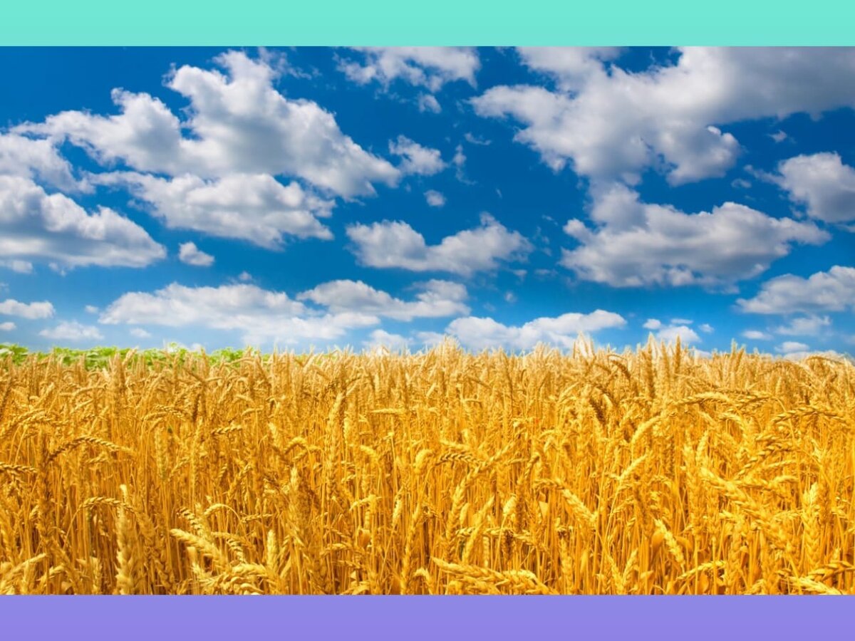 Фото из открытых источников.