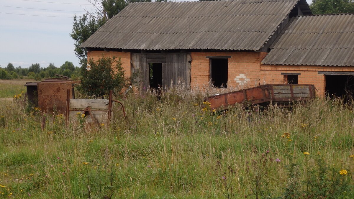 Фото колхозника в деревне