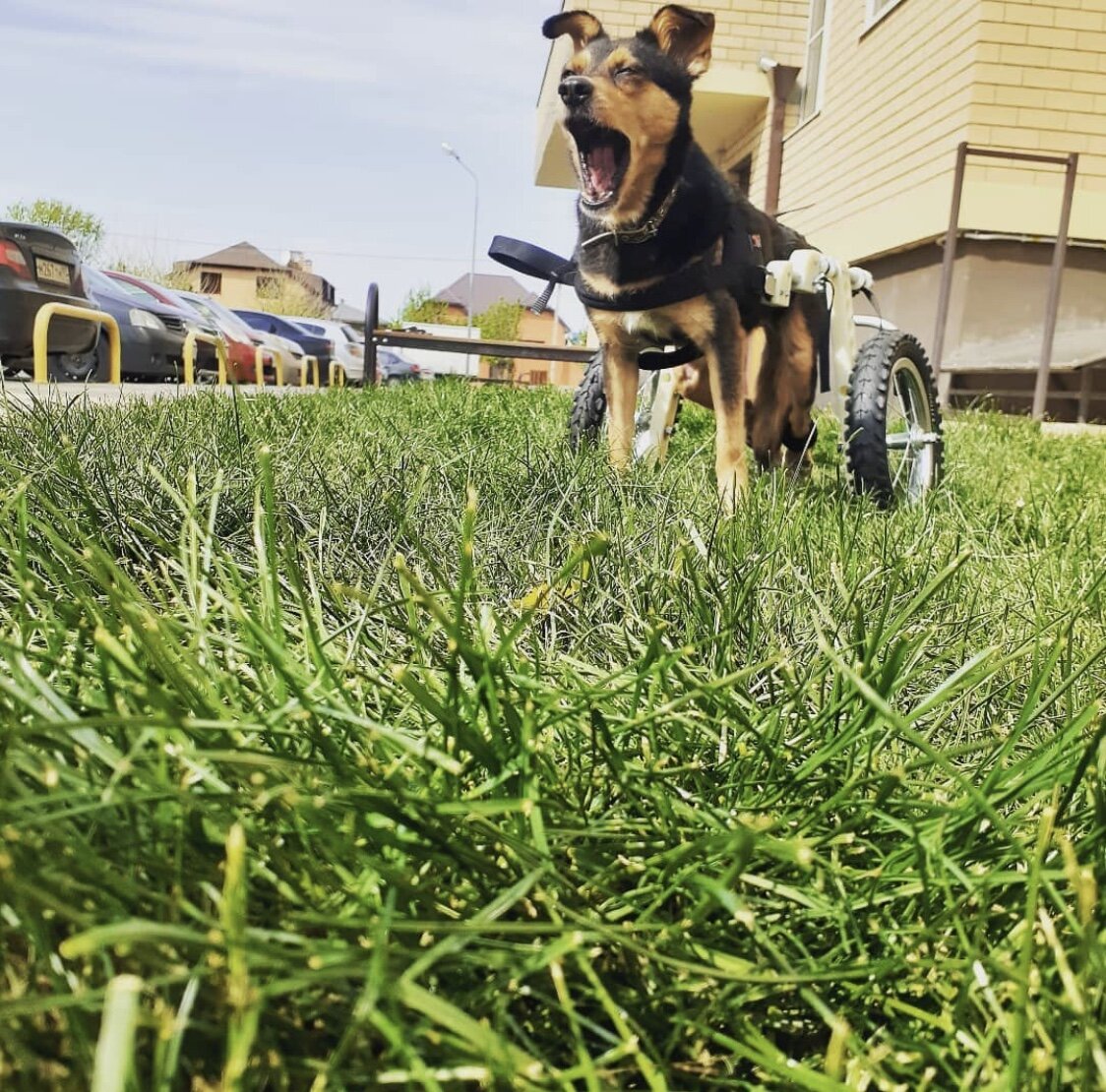 Посмотрите какая у меня BMW