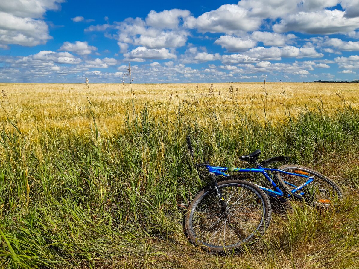 фото авторское