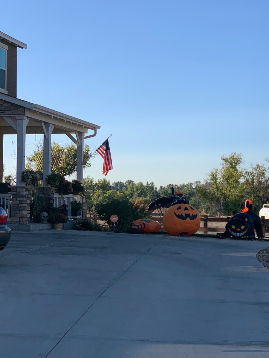 Свобода слова и самовыражения едва ли не самое важное в Конституции США