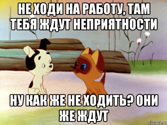 да,именно так.