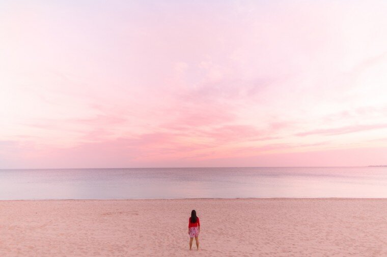 "метафора свободы"