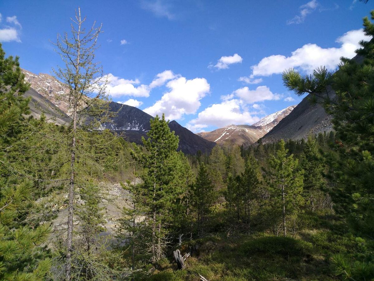 Фото из открытых источников