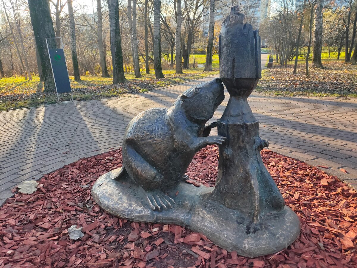 бобров парк