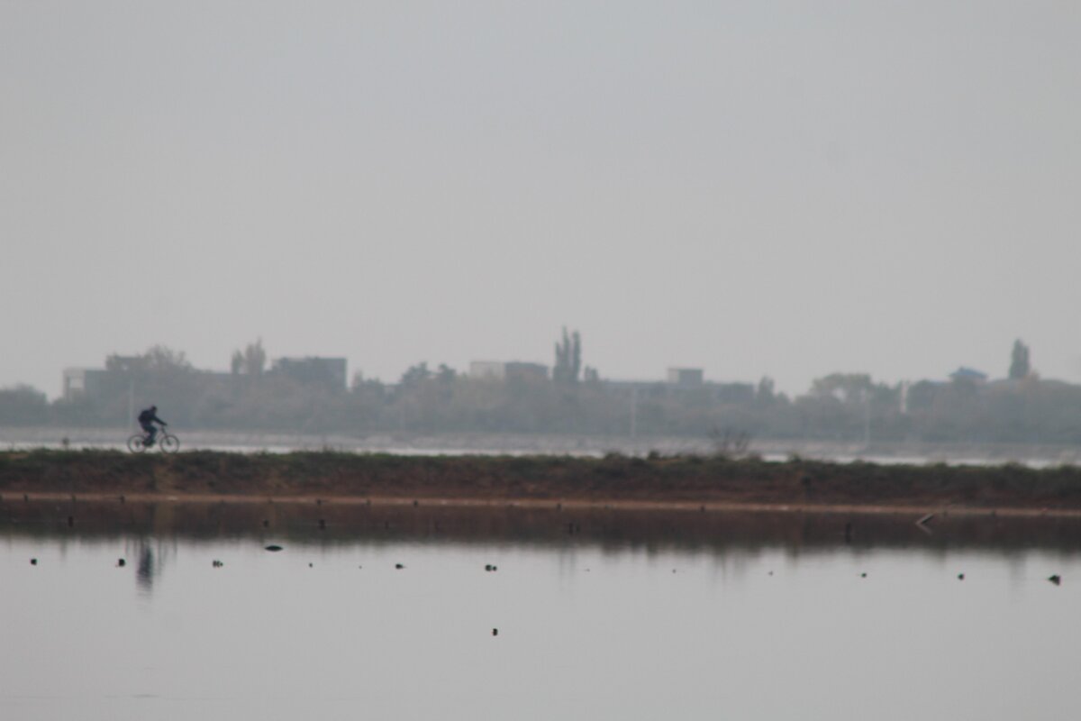 Личное фото