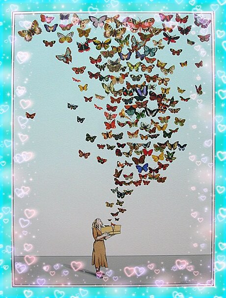 Бабочки вылетают из коробки. Салют из бабочек. Бабочки композиция. Бабочки вылетают из банки. Множество бабочек.