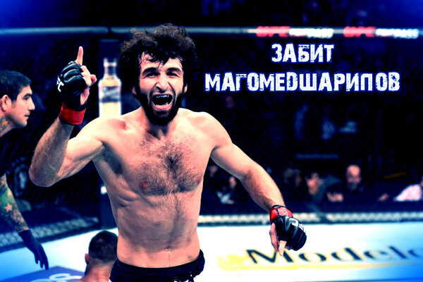Забит Магомедшарипов, боец мма, ufc, дагестанский брюс ли