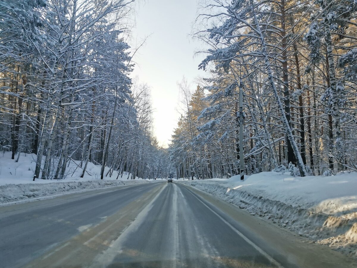 Зимний лес вокруг дороги!