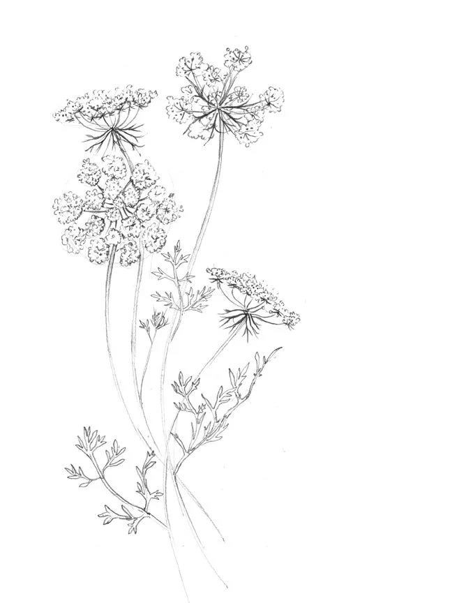 Источник  yandex.ru 