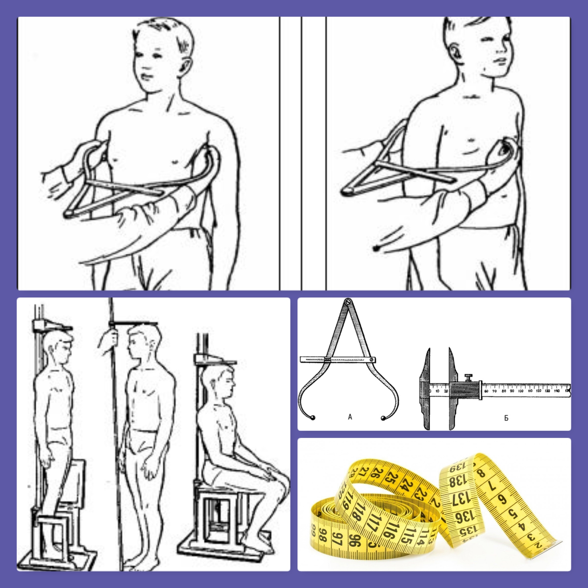 Антропометрические измерения и способы их выполнения. | Кристина Дмитриевна  | Дзен