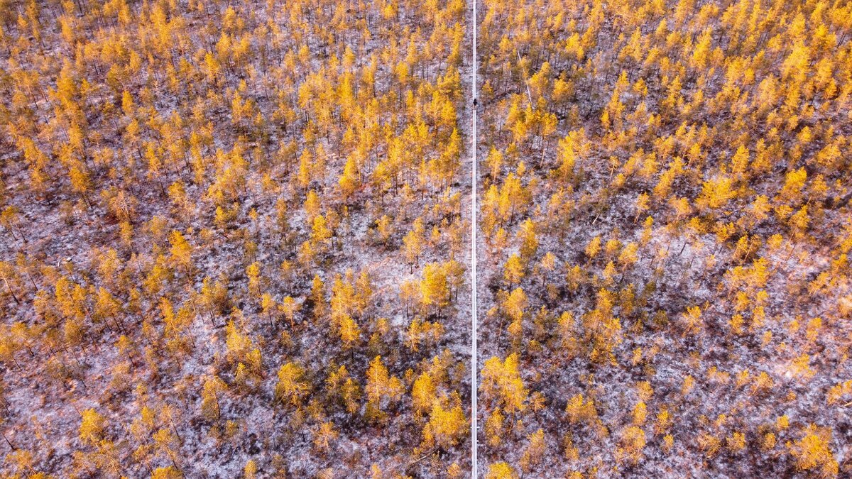 Вот так гать выглядит с воздуха. Пятно на белой нитке тропинки — это я ➡