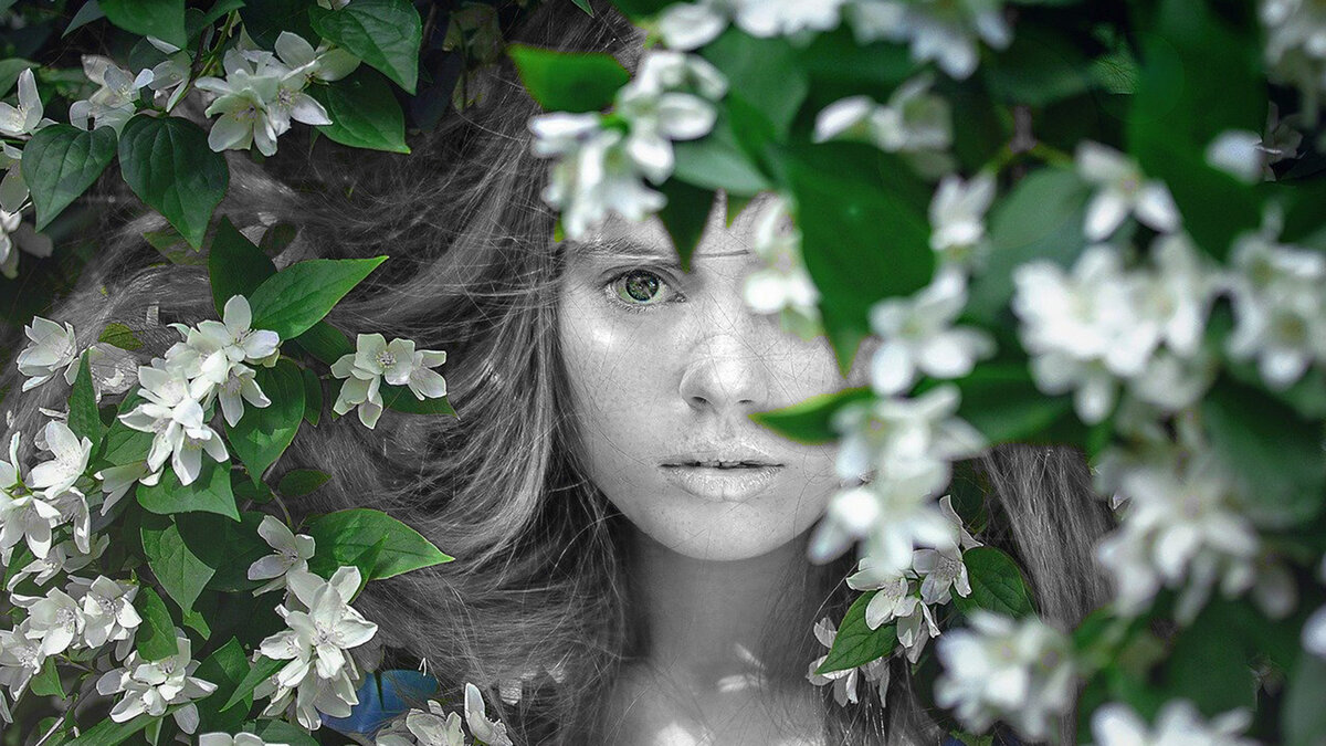 Творческая обработка изображений