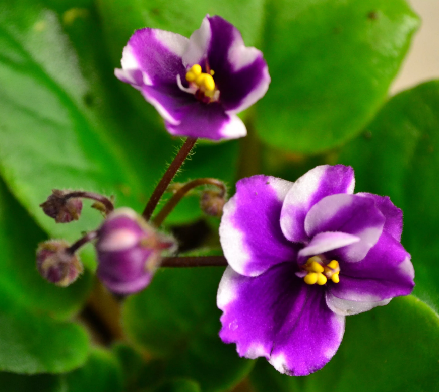 Взято из открытых источников