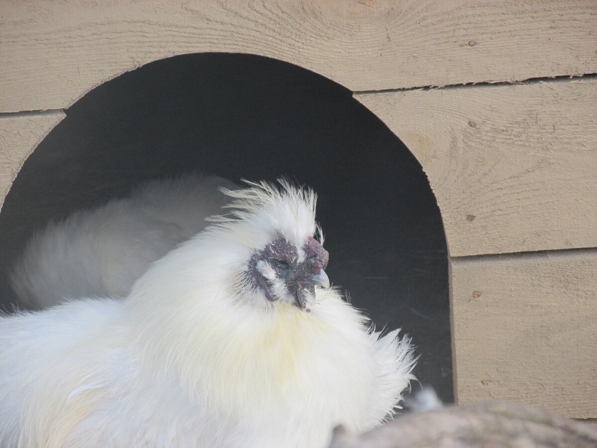 Там ещё много картинок