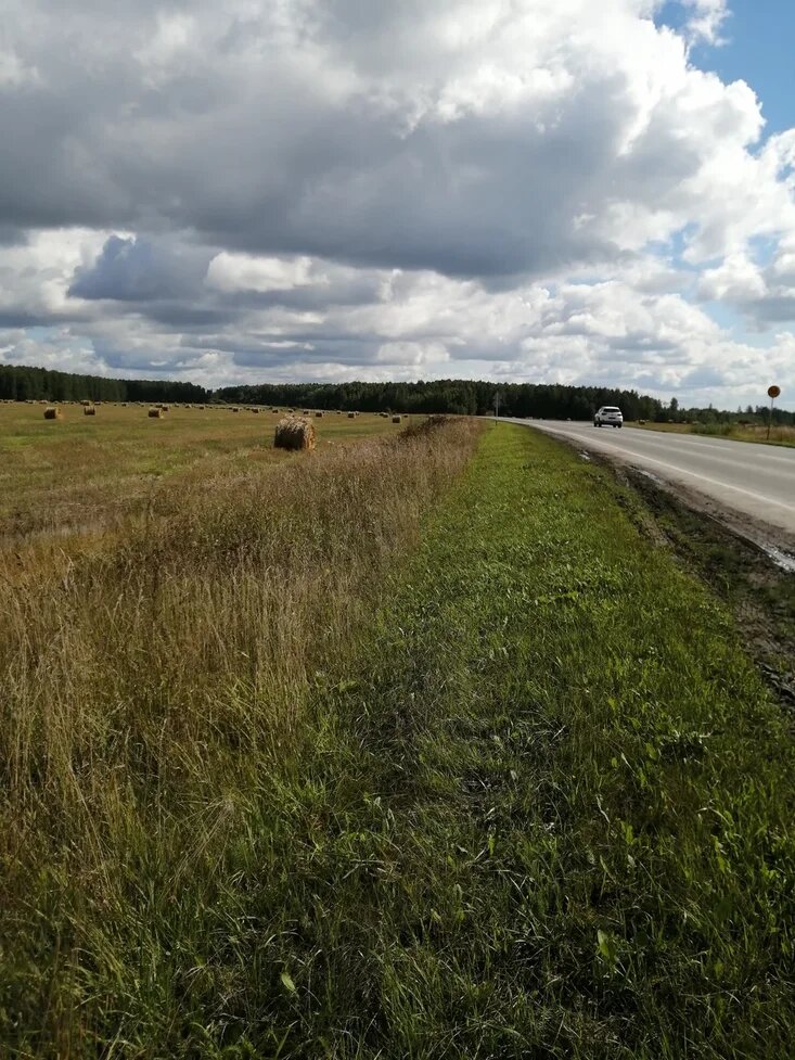 Колхоз Красная звезда (фото Промокашкин)