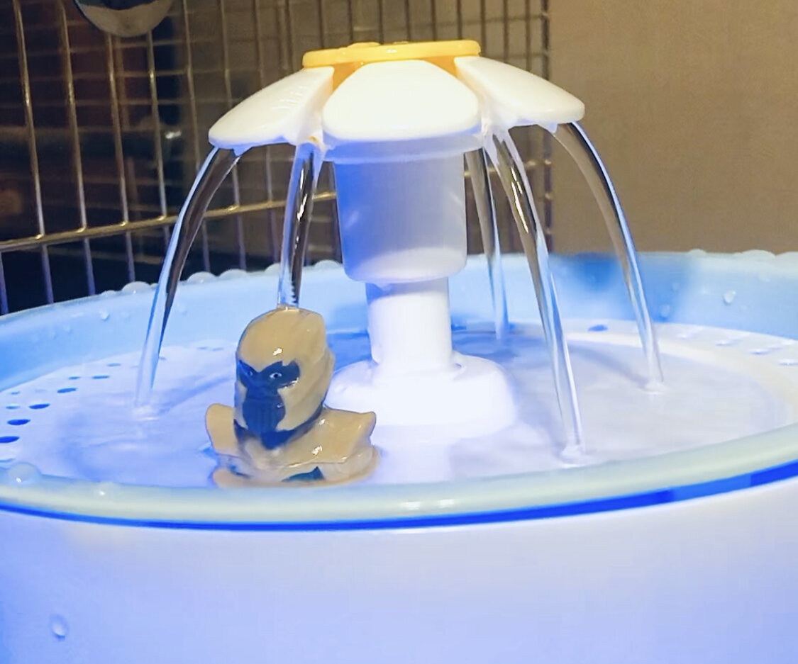 Танос на аквадискотеке. 