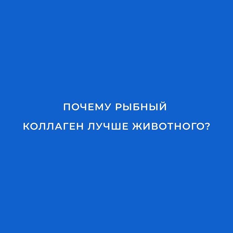 Больше информации в нашем инстаграм аккаунте @PROFICOLL