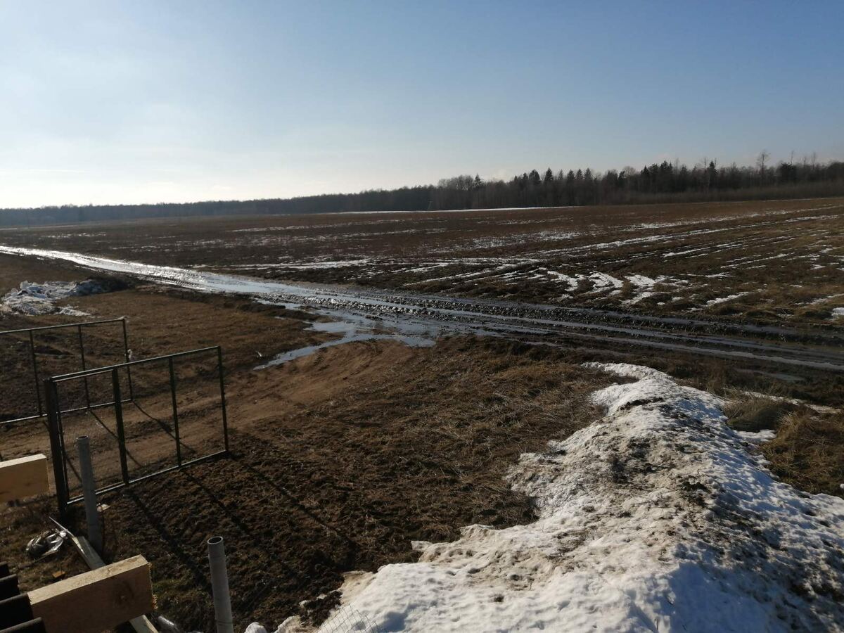 дорога в наше фермерское хозяйство