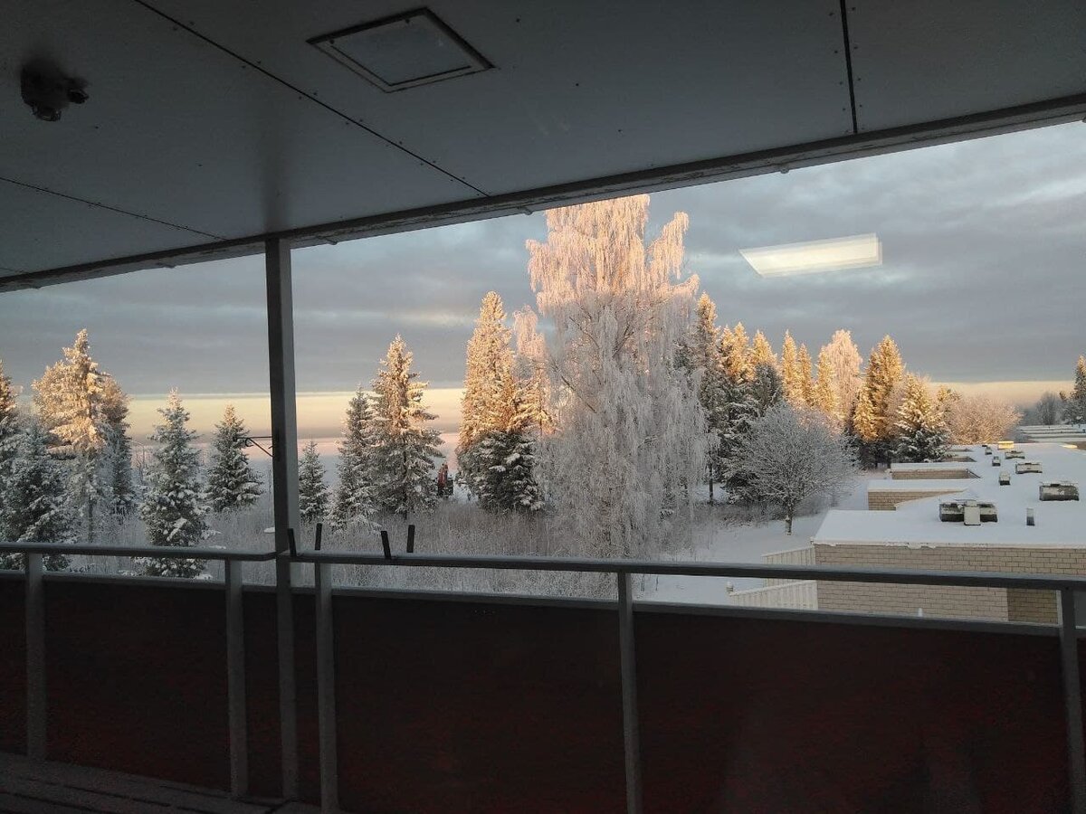 Мой любимый вид из окна отделения на море