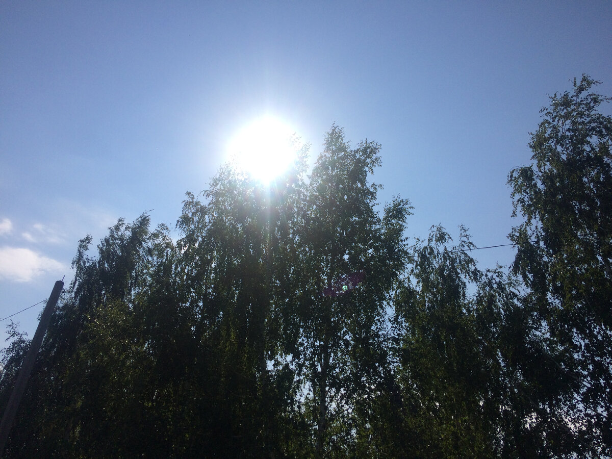 личная фотография