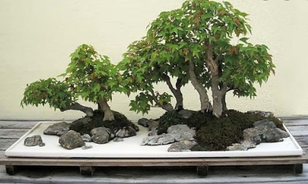 Добавьте описание