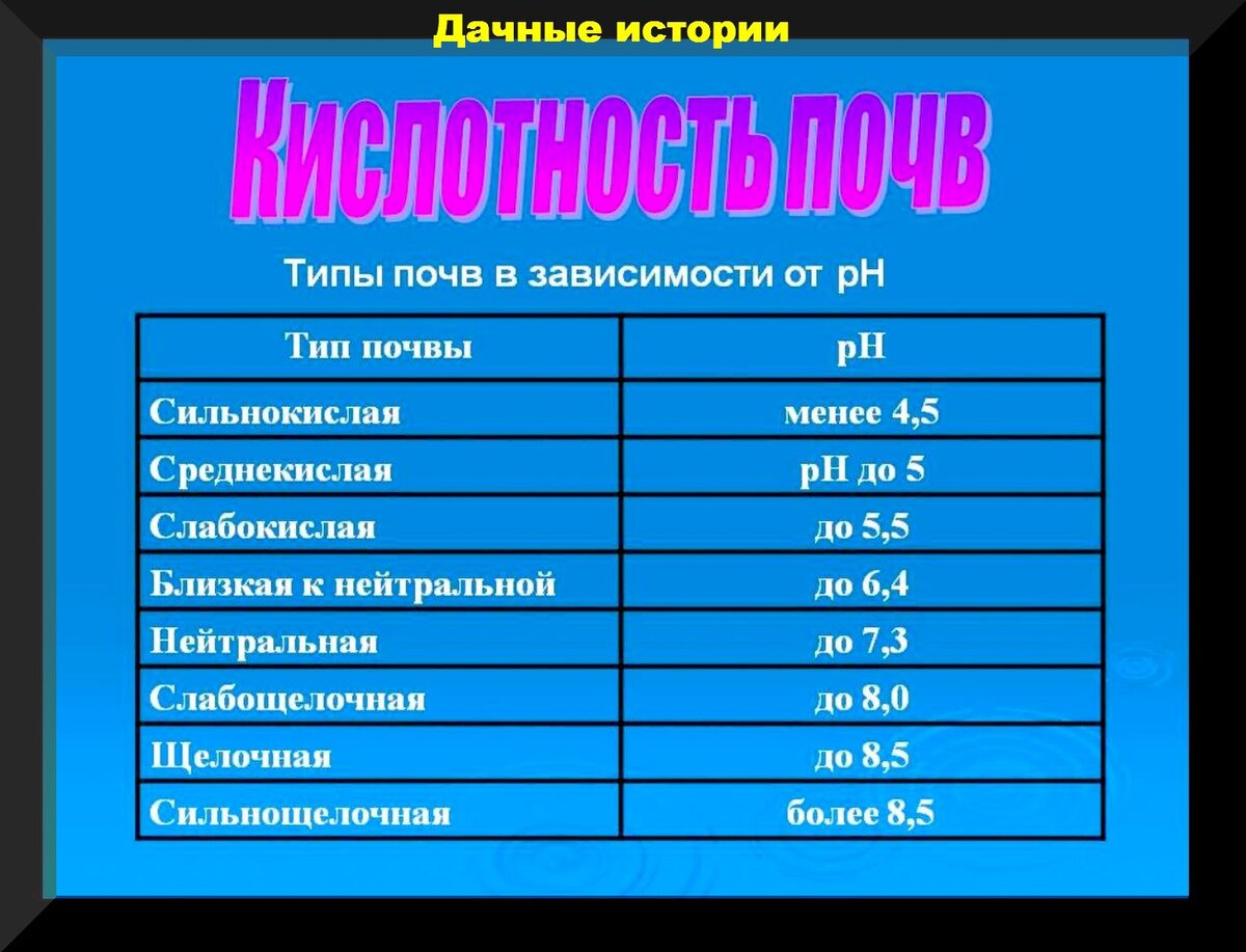 Типы почв в Казахстане