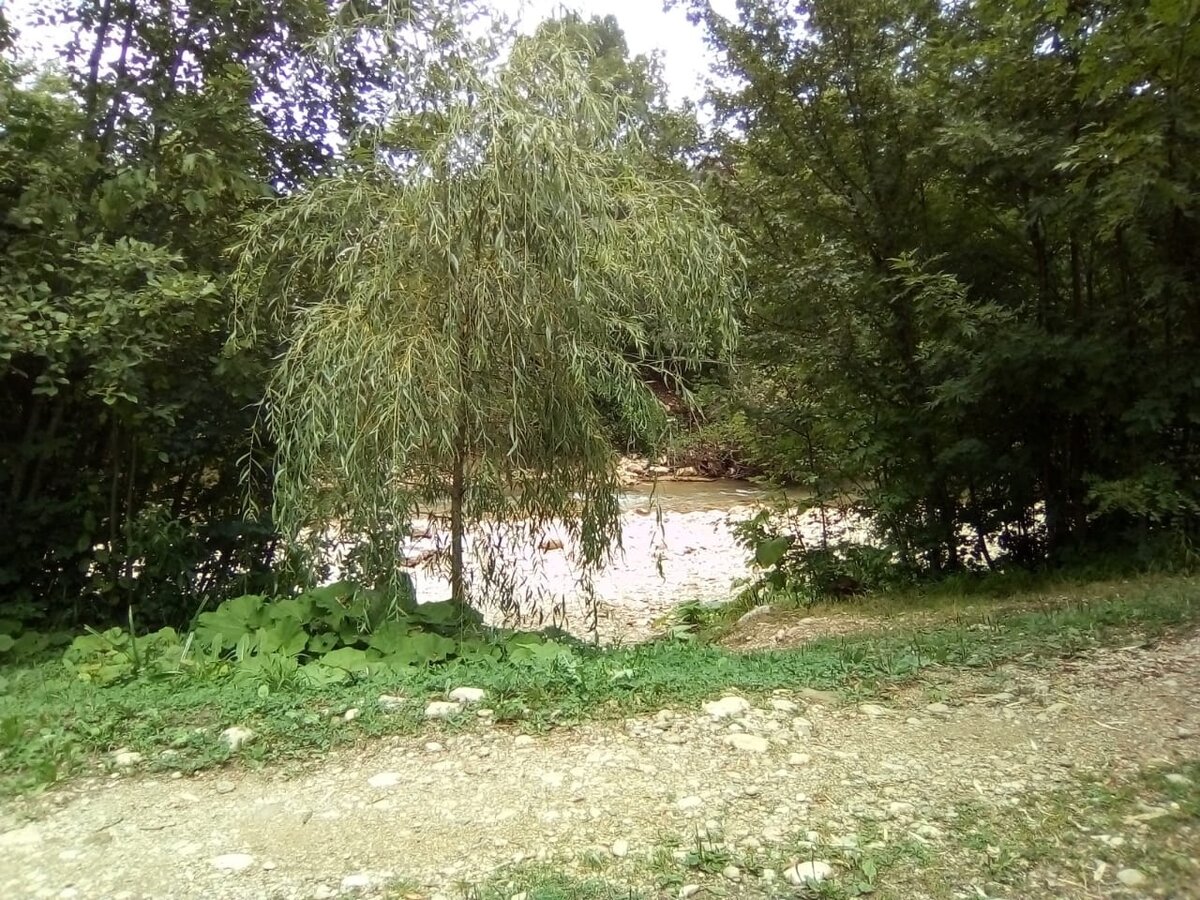 речка в п. Мезмай, Апшеронский район Краснодарского края.