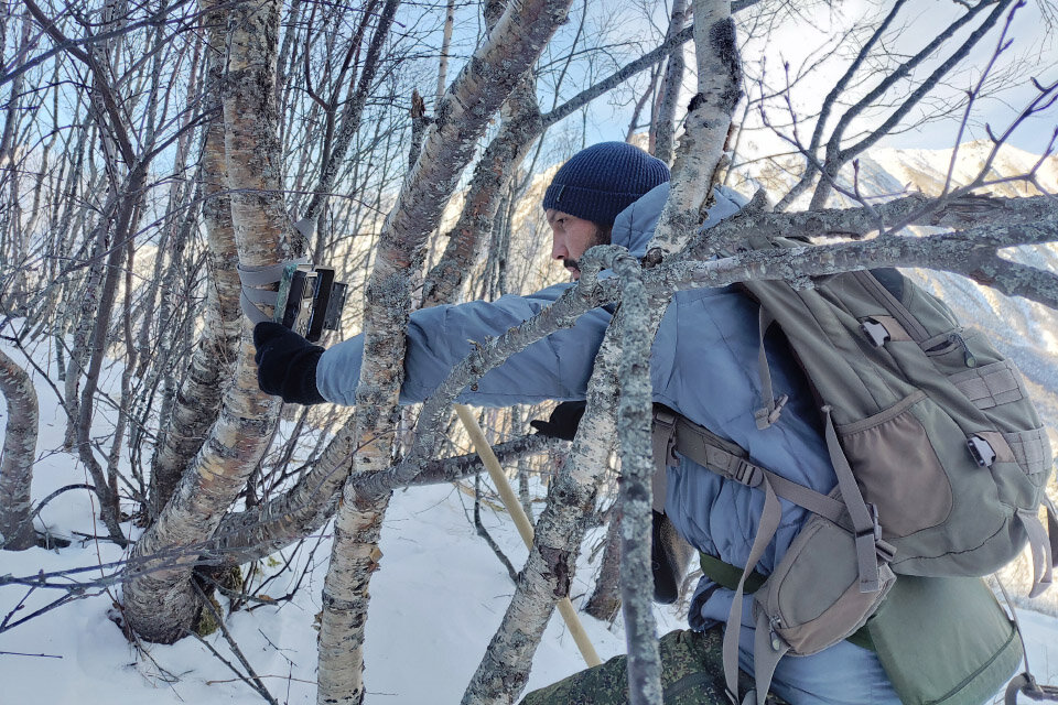 Проверка фотоловушек