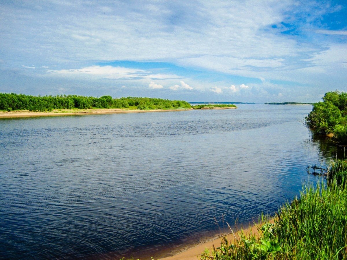 берега северной двины