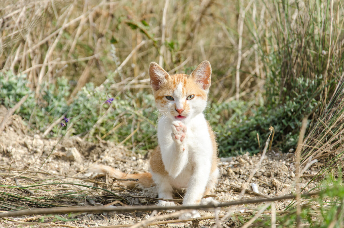 Моя первая фотосессия
