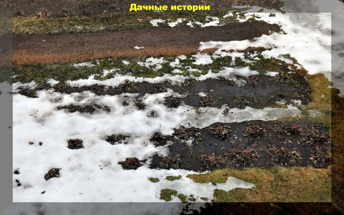 На прогретой земле. На прогретой земле