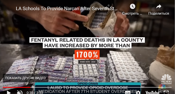 Кадр из видео в цитируемой статье